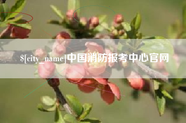 长沙中国消防报考中心官网