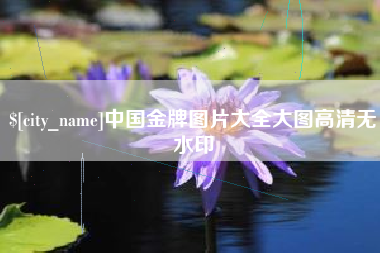 长沙中国金牌图片大全大图高清无水印