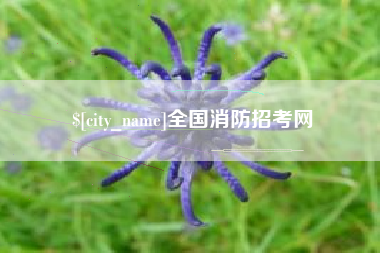 长沙全国消防招考网