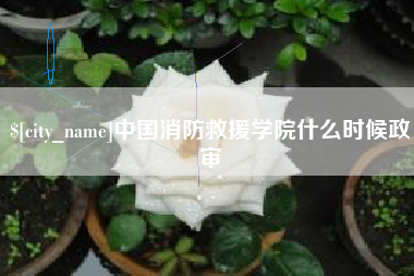 长沙中国消防救援学院什么时候政审
