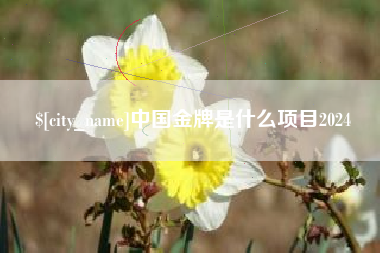 长沙中国金牌是什么项目2024