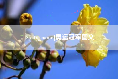 长沙奥运冠军图文