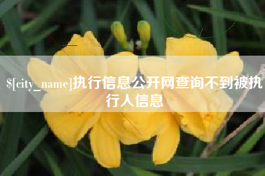 长沙执行信息公开网查询不到被执行人信息