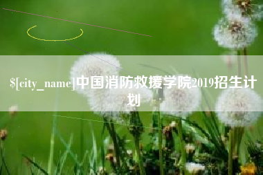 长沙中国消防救援学院2019招生计划