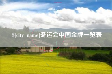 长沙冬运会中国金牌一览表
