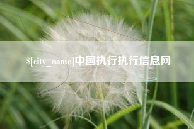 长沙中国执行执行信息网