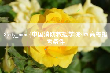 长沙中国消防救援学院2020高考报考条件