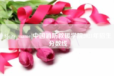 长沙中国消防救援学院2021年招生分数线