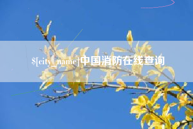 长沙中国消防在线查询