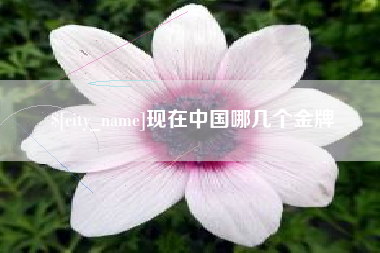 长沙现在中国哪几个金牌
