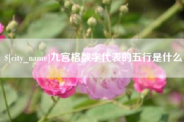 长沙九宫格数字代表的五行是什么