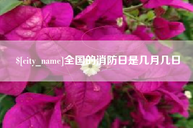 长沙全国的消防日是几月几日
