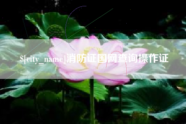 长沙消防证国网查询操作证