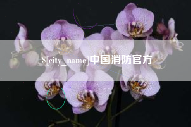 长沙中国消防官方