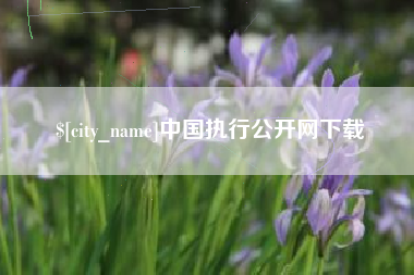 长沙中国执行公开网下载