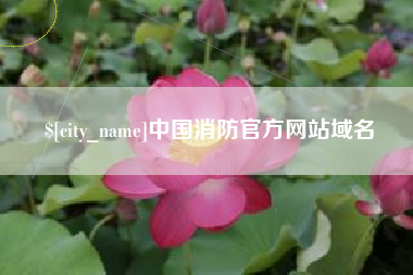 长沙中国消防官方网站域名