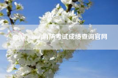长沙消防考试成绩查询官网