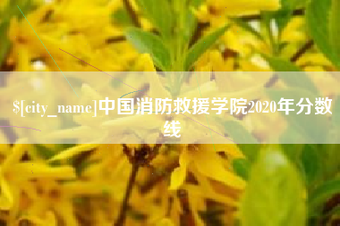 长沙中国消防救援学院2020年分数线
