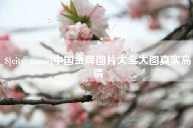 长沙中国金牌图片大全大图真实高清