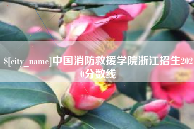 长沙中国消防救援学院浙江招生2020分数线