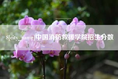 长沙中国消防救援学院招生分数