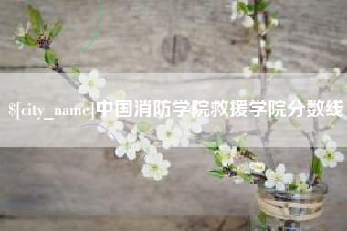 长沙中国消防学院救援学院分数线
