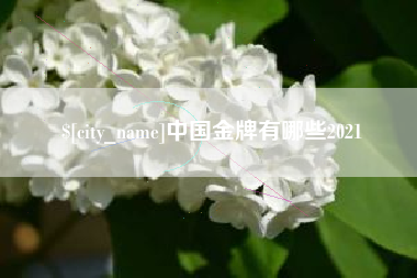 长沙中国金牌有哪些2021