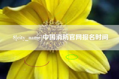 长沙中国消防官网报名时间