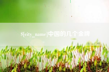 长沙中国的几个金牌