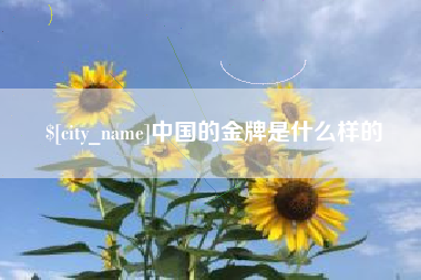 长沙中国的金牌是什么样的