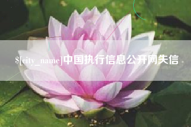 长沙中国执行信息公开网失信