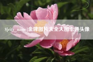 长沙金牌图片大全大图卡通头像