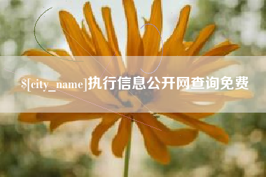 长沙执行信息公开网查询免费