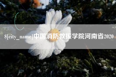 长沙中国消防救援学院河南省2020